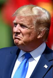 On Day One Of US President Donald Trump's Visit To The UK, Here Are The  Very British Ways He's Been Welcomed