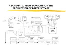Bakers Yeast Production An Overview Ppt Video Online Download
