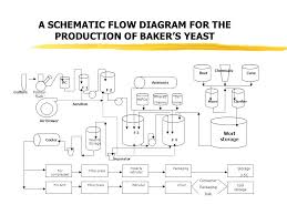 bakers yeast production an overview ppt video online download