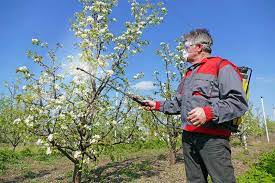 When To Spray Apple Trees Minnetonka Orchards
