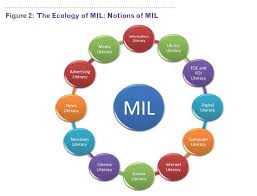 Mil And Ecology Information Literacy Computer Literacy Literacy