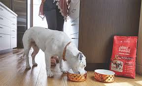 Live fish, rock and sand, ocean water, crystals and salt; Finding The Right Dog Food By Breed Size Petco