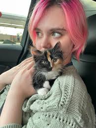 Arr there any efficiencies or studios for rent? Pls let me know need asap