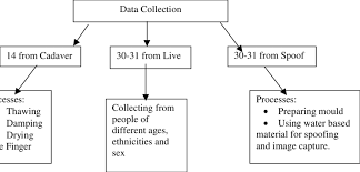 1 data collection chart download scientific diagram