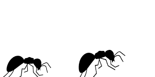 Assessing warehouses is a complicated job. Pest Control Exterminator Services Western Pest Services