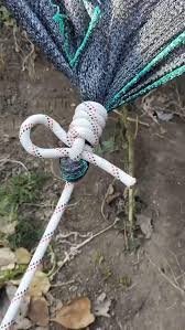 Jamie Bard (jrbard2017)