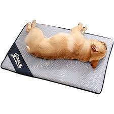 This is the usual gel type, but also has a. Bbeart Cooling Pet Bed Mats Breathable Self Cooling Pad Ultra Soft Comfortable Blanket Bed For Cats Small Dogs Medium Dogs Large Dogs Pet Summer Mats M 27 5 X 20 Buy Online In Cayman Islands At