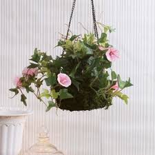 5% coupon applied at checkout save 5% with coupon. Hanging Planter Buy Hanging Planters Hanging Pots Online In India At Low Price 2021 Latest