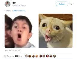 We Can T Stop Thinking About This Coughing Cat Meme Cat Memes Kittens Funny Funny Spanish Memes