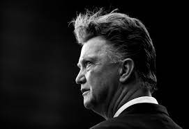 Kehrt louis van gaal auf die trainerbank zurück? Louis Van Gaal A Divisive Success Story