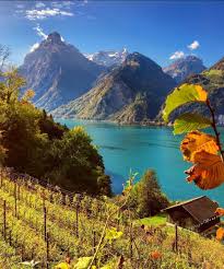 Switzerland Schweiz Suisse On Instagram Sisikon All Photos By Swissmonamour Pictures Of Beautiful Places Purpose Of Travel Travel Abroad