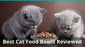 Alibaba.com offers 1,178 2020 plastic cat pet bowl products. Best Food Bowls For Cats And Kittens Reviews Ratings