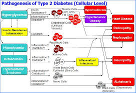 biology diagrams type 2 diabetes cellular level