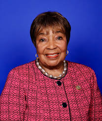 Blog 3 — Turtle Creek Association