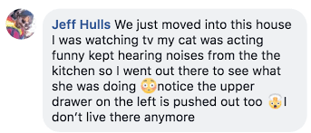We did not find results for: Our Users Shared The Spookiest Thing Their Pet Has Ever Done And It S Giving Us The Heebie Jeebies I Can Has Cheezburger