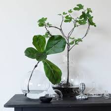 Pallo Vase By Carina Seth Andersson For Skruf In Smaland Sweden Pflanzen Bluhende Pflanzen Pflanzen Ohne Erde