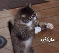 pin by aml moustafa on comics funny art memes funny cartoon quotes funny picture jokes