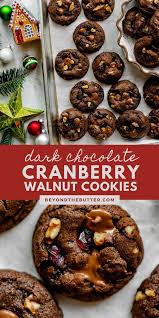 Dark Chocolate Cranberry Walnut Cookies Recipe In 2020 Walnut Cookies Walnut Cookie Recipes Christmas Cooking