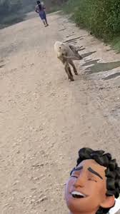 Listo para el 24 pidan con tiempo ⏳ su carne también tendremos manteca ala  venta. Para sus tamales pura carne de cerdo de primerísima calidad