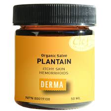 Onguent Plantain Biologique La Parapharmacie