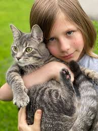 Update! 8/31/20 Ash is home!! 😭😭♥️♥️ Seriously thank you to everyone who  shared this post and showed concern in helping us find out fur baby! I  appreciate it. Ash is still missing