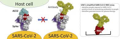 The only independent world health organization (who) recognized one stop platform for verified data and news. Unc Chapel Hill Researchers Create New Type Of Covid 19 Antibody Test Eurekalert Science News
