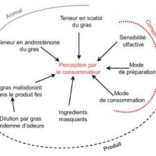 Scatol — ● scatol ou scatole nom masculin composé, à odeur de matière fécale, qui prend naissance dans la putréfaction des protéines. Biosynth Se Du Scatol Dans L Intestin L Action D Enzymes Est Download Scientific Diagram