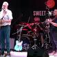 Live Music with The Roy Dyer Band