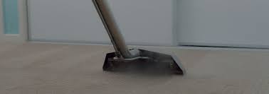 Our professional carpet cleaners rinse your carpet to neutralise the ph and then perform hot water extraction to completely sanitise and clean it. Houseproud Carpet Cleaning And Pest Management