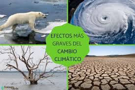 Enabling action and ambition for the paris agreement. 10 Efectos Del Cambio Climatico Graves Resumen Y Videos