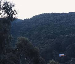Get directions +61 3 5289 0247. Cocoon House Wye River Victoria Bellemo Cat Architects