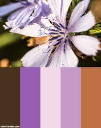 Pin On Colors 8