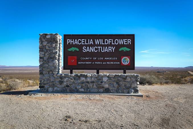 Phacelia Wildlife Sanctuary – Parks & Recreation