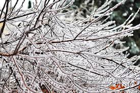 Flash freezing is just a faster way to freeze something. Flash Freeze Tonight