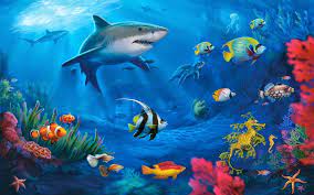 Image Finder Best Images Of Under Water World Underwater Wallpaper Ocean Mural Fish Wallpaper