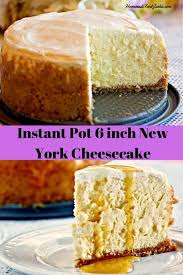 These cakes are double layered and perfect for one or two families. Instant Pot 6 Inch New York Style Cheesecake Homemade Food Junkie