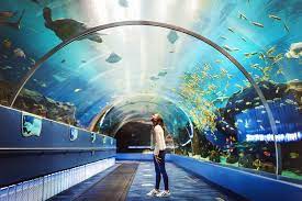 images?q=tbn:ANd9GcR7zXoVLVi9UbHK relaxing places