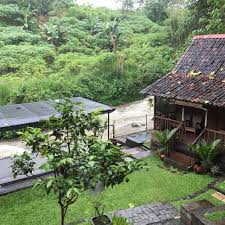 Lokasi villa ciapus alam berada di ciapus. Akomodasi Bergaya Joglo Di Bogor Sensasi Staycation Dengan Nuansa Jawa Yang Kental