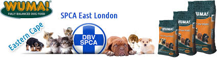 Where is the phoenix spca in phoenix az? Giving Back On Animal Welfare Wednesday Pet Health Care