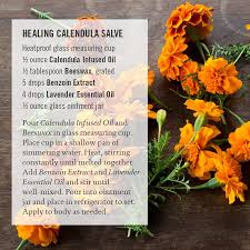 The Anti Inflammatory Benefits Of Calendula Make This Diy Salve A Remedy For Healing Wounds Scratches And Minor Herbal Cure Herbal Apothecary Natural Remedies