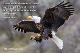 Pin On Eagles