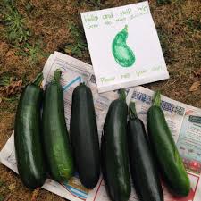 Most of the nutrition of zucchini is contained in the skin, so much so that nutrition databases omit listing peeled zucchini information. Zucchini A Love Story How To Grow Zucchini And A Recipe For Zucchini Lemon Spread