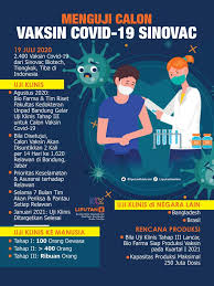 Headline Calon Vaksin Covid 19 Tiba Dari China Seberapa Efektif Untuk Indonesia Health Liputan6 Com