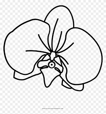 From animals, to sports, to flowers, there is no shortage of coloring pages for kids available at turtle diary. Image Orchid Colouring Pages With Coloring Page Ultra Dibujo De Orquidea Para Colorear Free Transparent Png Clipart Images Download