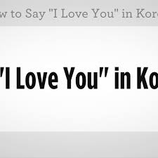 If a person you are talking to is older than you, you have to say sarang hamnida 사랑 합니다. How To Say I Love You In Korean Howcast
