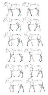 Sketchbook Original How To Animate Horses Monika Zagrobelna Horse Drawings Flip Book Animal Drawings