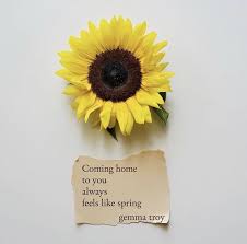 Pin On Blog Women Empowerment Wellness The Sprouting Sunflower