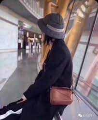 Loewe mini puzzle bag tan. 15 Loewe Bags Ideas