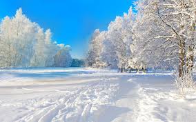 Find hd wallpapers for your desktop, mac, windows, apple, iphone or android device. 49 4k Winter Wallpaper On Wallpapersafari