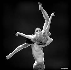 Cinthia interprète les rôles principaux dans les chorégraphies de la compagnie julien lestel, notamment dans constance créée en juin 2009 et dans anastylose, créé en juin 2010 à l'opéra de marseille. Julien Lestel Ballet The Best Photographs